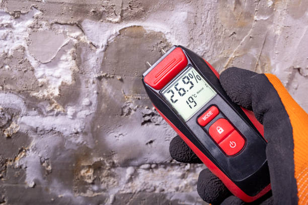 Best Fast Mold Removal  in Commerce, GA