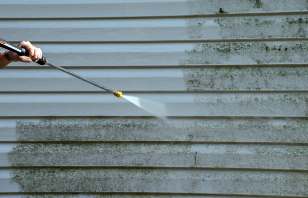 Best Mold Removal Process  in Commerce, GA