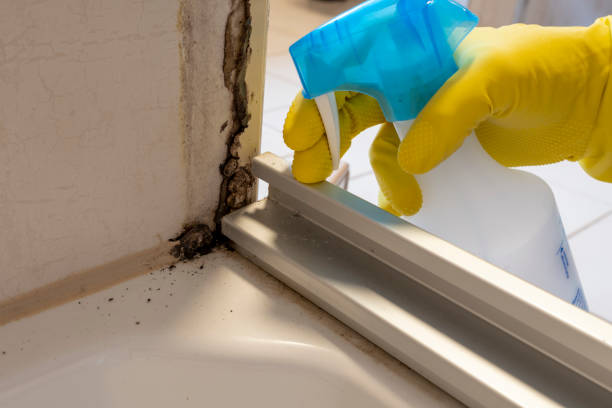 Home Mold Removal in Commerce, GA